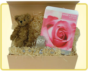 'Name a Rose' - New Baby Gift